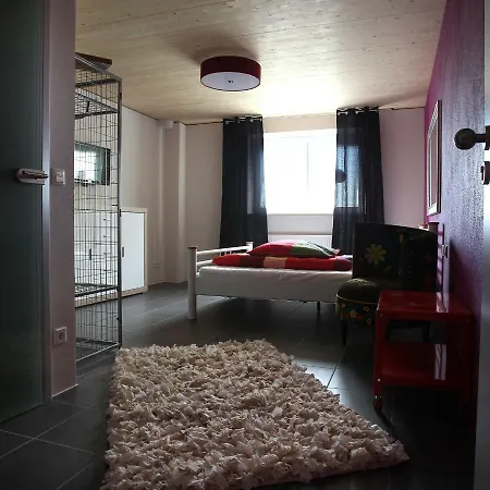 Lustra - Adults Only Landshut